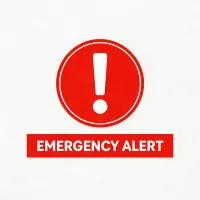 Emergency service icon